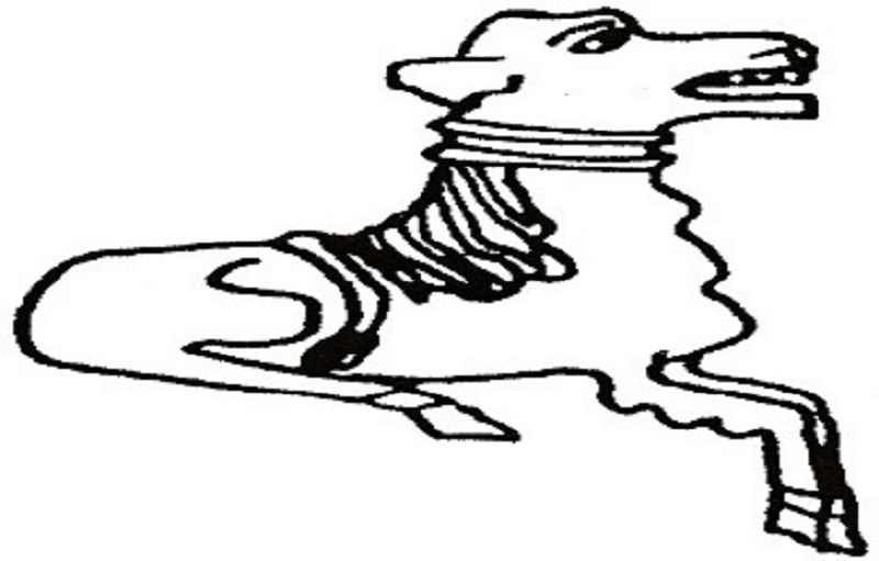 27-_Old_Dog_large_-_predefined_-_800x511